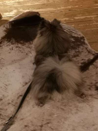 Ton in Ton-Beitrag-Bild