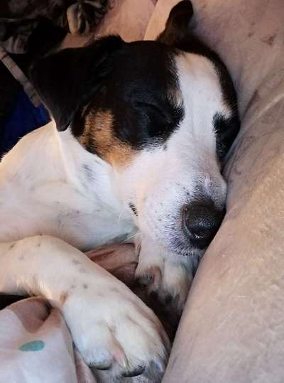 Schlafzeit!💖-Beitrag-Bild