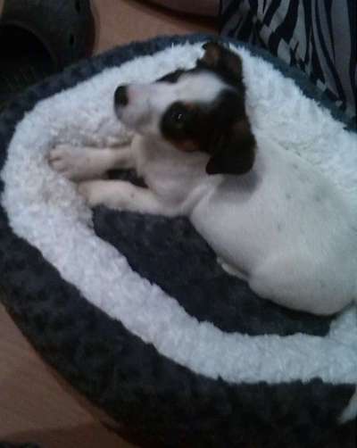 Sie werden so schnell erwachsen ...-Beitrag-Bild