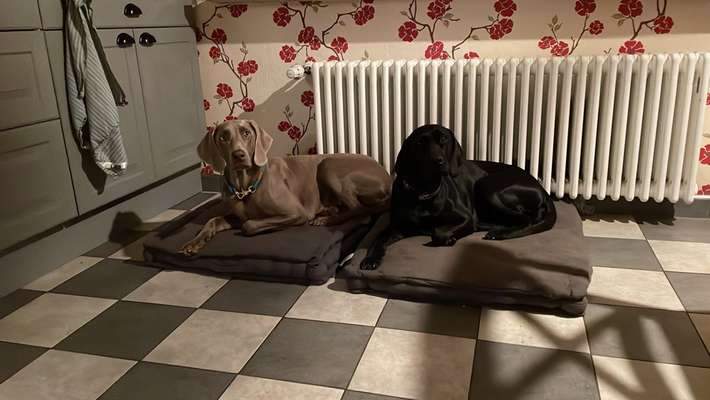 Lieblingsbild-Beitrag-Bild