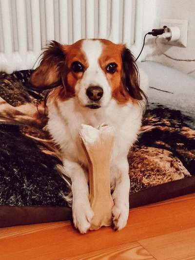 Fotochallenge Nr. 64-Beitrag-Bild