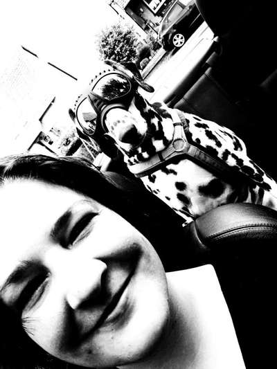 Hundetreffen-Längere Spaziergänge mit nicht perfekten Hunden ❤️-Bild