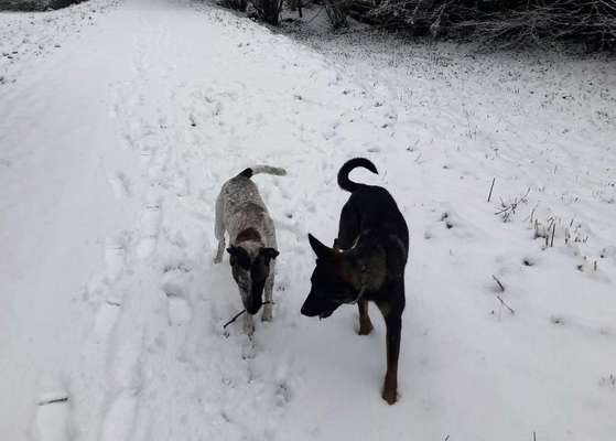 Der erste Schnee, zeigt uns eure tollen Schneemomente-Beitrag-Bild