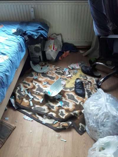 Chaos in der Bude-Beitrag-Bild