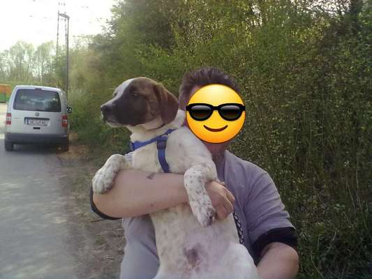 Vom Welpen zum Hund-Beitrag-Bild