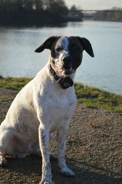 Was hat euch heute genervt?-Beitrag-Bild