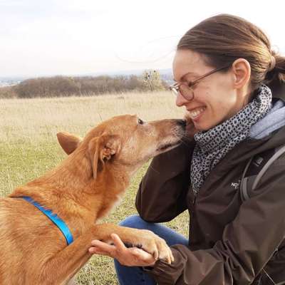 Hundetreffen-Gemeinsame Spaziergänge-Profilbild