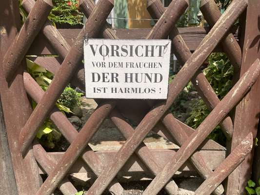 Hunde Memes-Beitrag-Bild