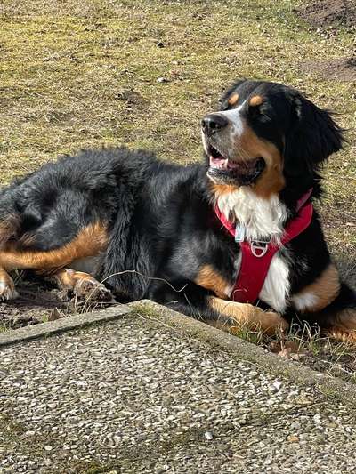 Wenn man sich trennen muss-Beitrag-Bild