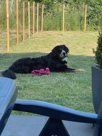 Das Gefühl das es nicht passt...-Beitrag-Bild