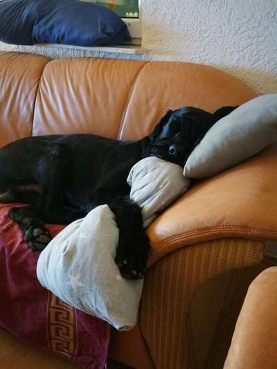 Wasser in der Wohnung verteilen-Beitrag-Bild