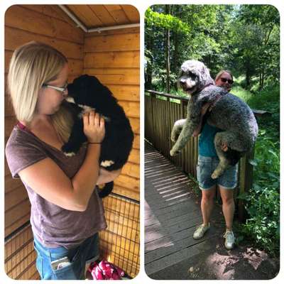 Sie werden so schnell erwachsen ...-Beitrag-Bild