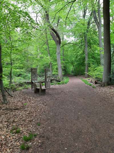 Hundeauslaufgebiet-Erlebnispfad Dämmerwald Schermbeck-Bild