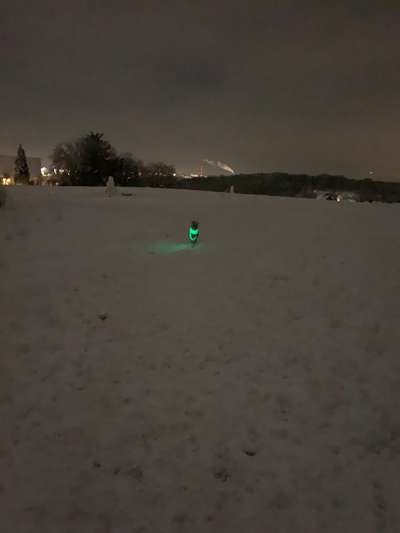 Die Dogorama Kalender Challenge Teil 2/4-Beitrag-Bild