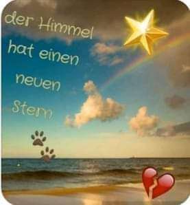 Windhunde - Treffen der besonderen Schönheiten
HERZLICH WILLKOMMEN-Beitrag-Bild