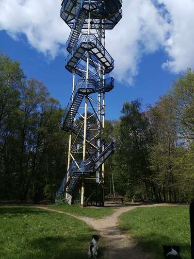 Hundeauslaufgebiet-Hülser Bruch {Berg}-Bild