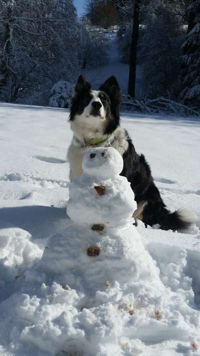 Schnee Foto-Beitrag-Bild