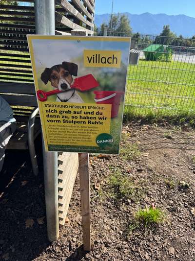Hundeauslaufgebiet-Hunde Spielplatz Villach-Bild