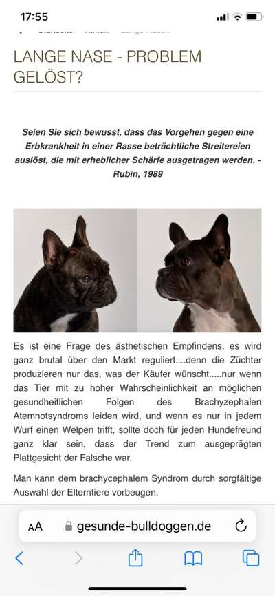 Überbiss beim Welpe-Beitrag-Bild