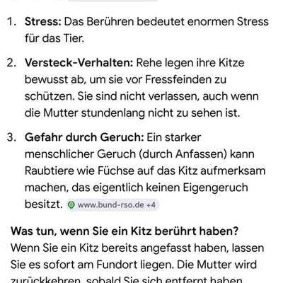 Leinenpflicht – nervige Einschränkung oder sinnvoller Schutz?-Beitrag-Bild