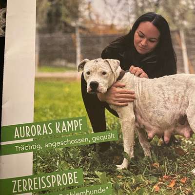 Was hat euch heute genervt?-Beitrag-Bild