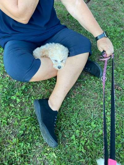 Was hat euch heute gefreut?-Beitrag-Bild