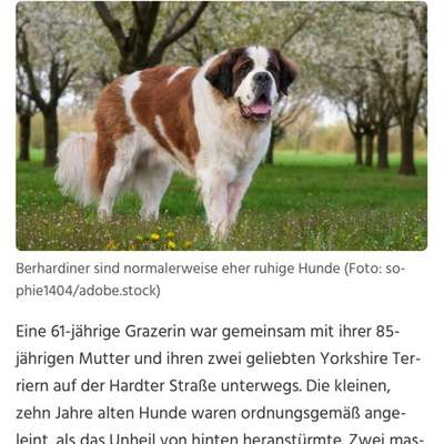 Was hat euch heute genervt?-Beitrag-Bild