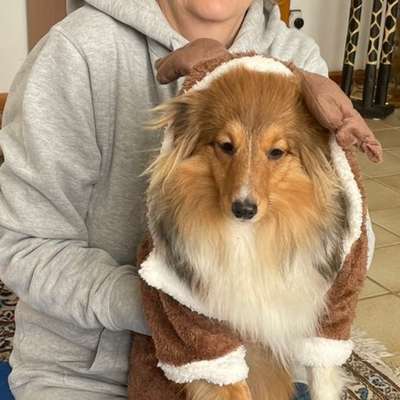 Winterjacke-Beitrag-Bild