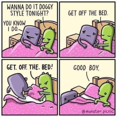 Hunde Memes-Beitrag-Bild