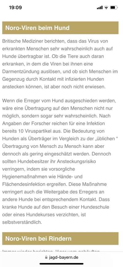 Hund & Mensch Magen-Darm-Beitrag-Bild