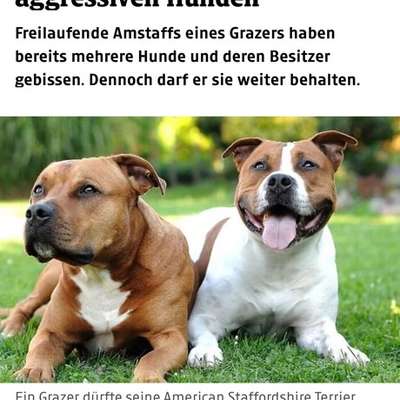 Was hat euch heute genervt?-Beitrag-Bild