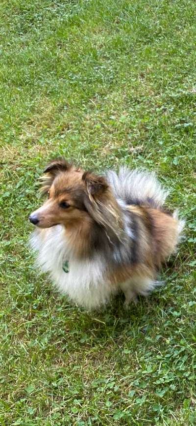 Ach, wie schnell die Zeit vergeht-Beitrag-Bild