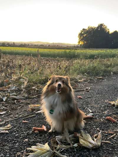 Was hat euch heute gefreut?-Beitrag-Bild