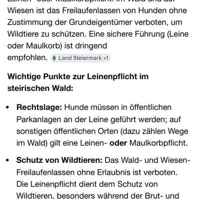Leinenpflicht – nervige Einschränkung oder sinnvoller Schutz?-Beitrag-Bild