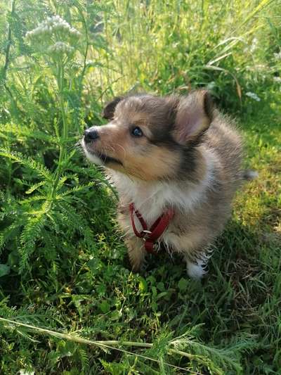 Ach, wie schnell die Zeit vergeht-Beitrag-Bild