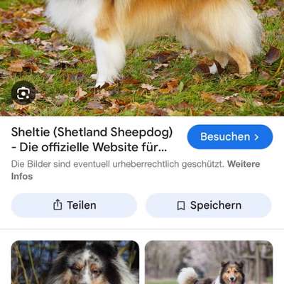 Gangbild/-analyse-Beitrag-Bild