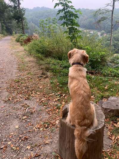 27. Handy Fotochallenge-Beitrag-Bild