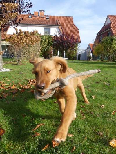 Un...scharf Bilder-Beitrag-Bild