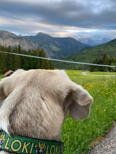 Fotochallenge Nr 107-Beitrag-Bild