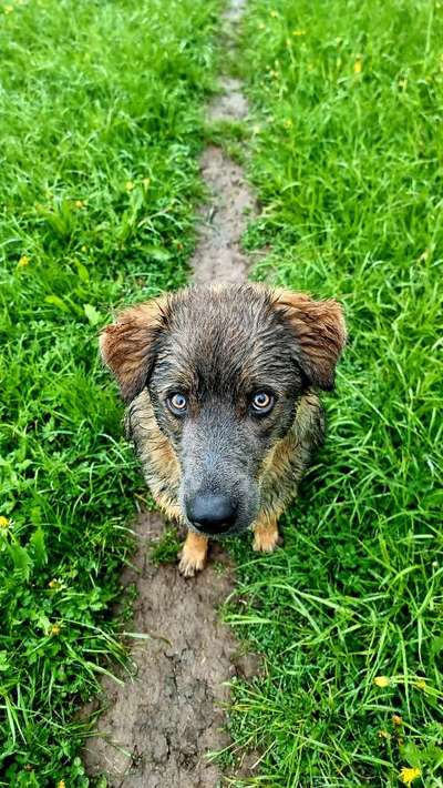 Handy-Foto Challange Nr. 10-Beitrag-Bild