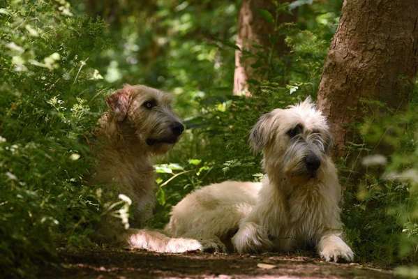 Fotowettbewerb Natur-Beitrag-Bild