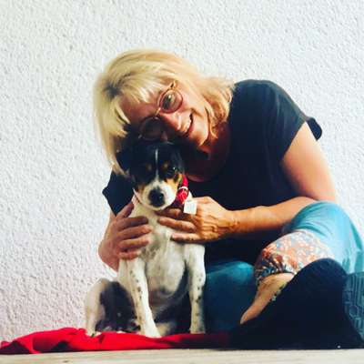 Hundetreffen-Kumpel für Fynn