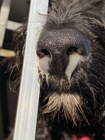 Häufig erkältet, Augen vereitert und Mandeln entzündet-Beitrag-Bild