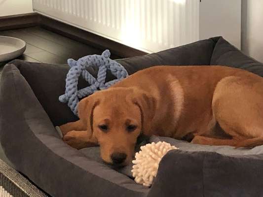 Fotochallange Nummer 5-Beitrag-Bild