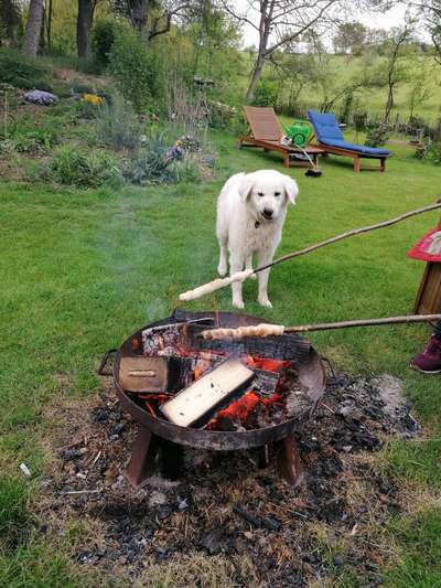 LUSTIGE FOTOS! WER KANN MITHALTEN?-Beitrag-Bild
