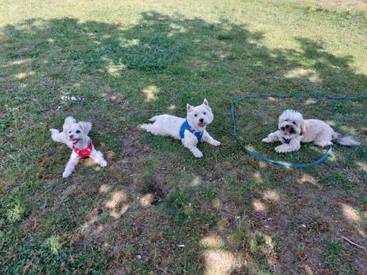 Handy-Foto-Challange Nr. 8-Beitrag-Bild