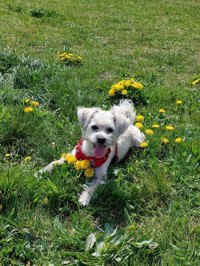 Theos  Fotochallenge Nummer 2-Beitrag-Bild