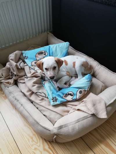 Sie werden so schnell erwachsen ...-Beitrag-Bild