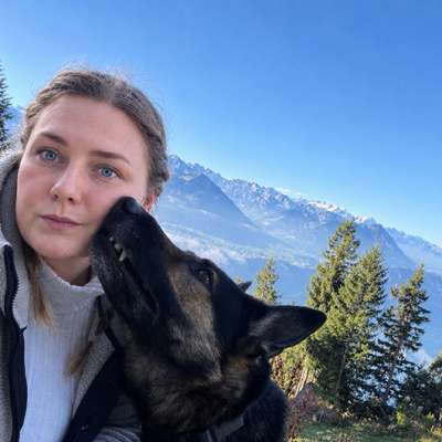 Hundetreffen-Mantrailing-Trainingspartner gesucht-Profilbild