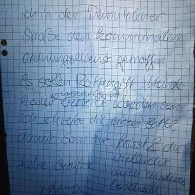 Giftköder-Rattengift Köder !!!!!-Bild